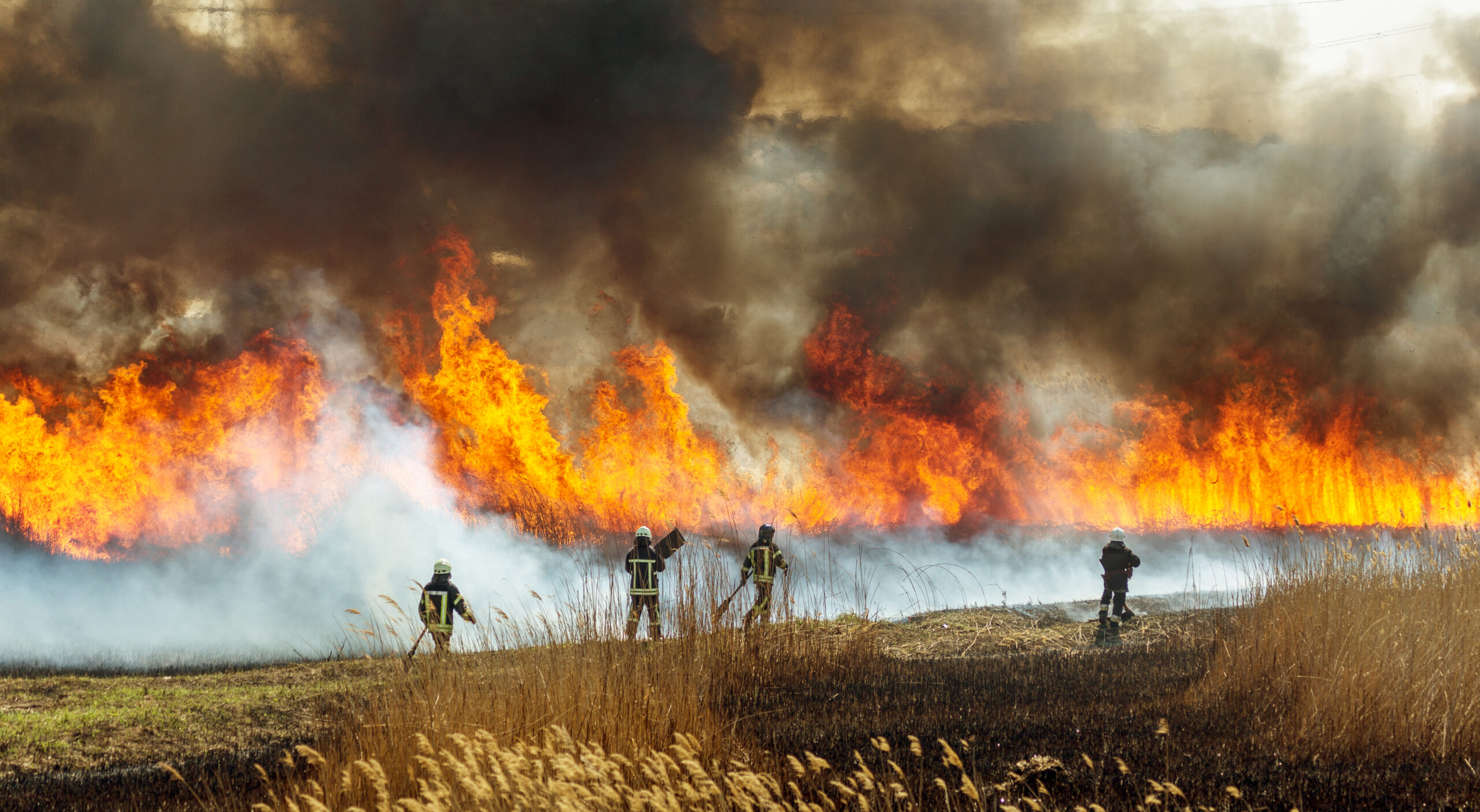 Wildfire Preparedness: Plan and Respond to an Increasingly Frequent Risk