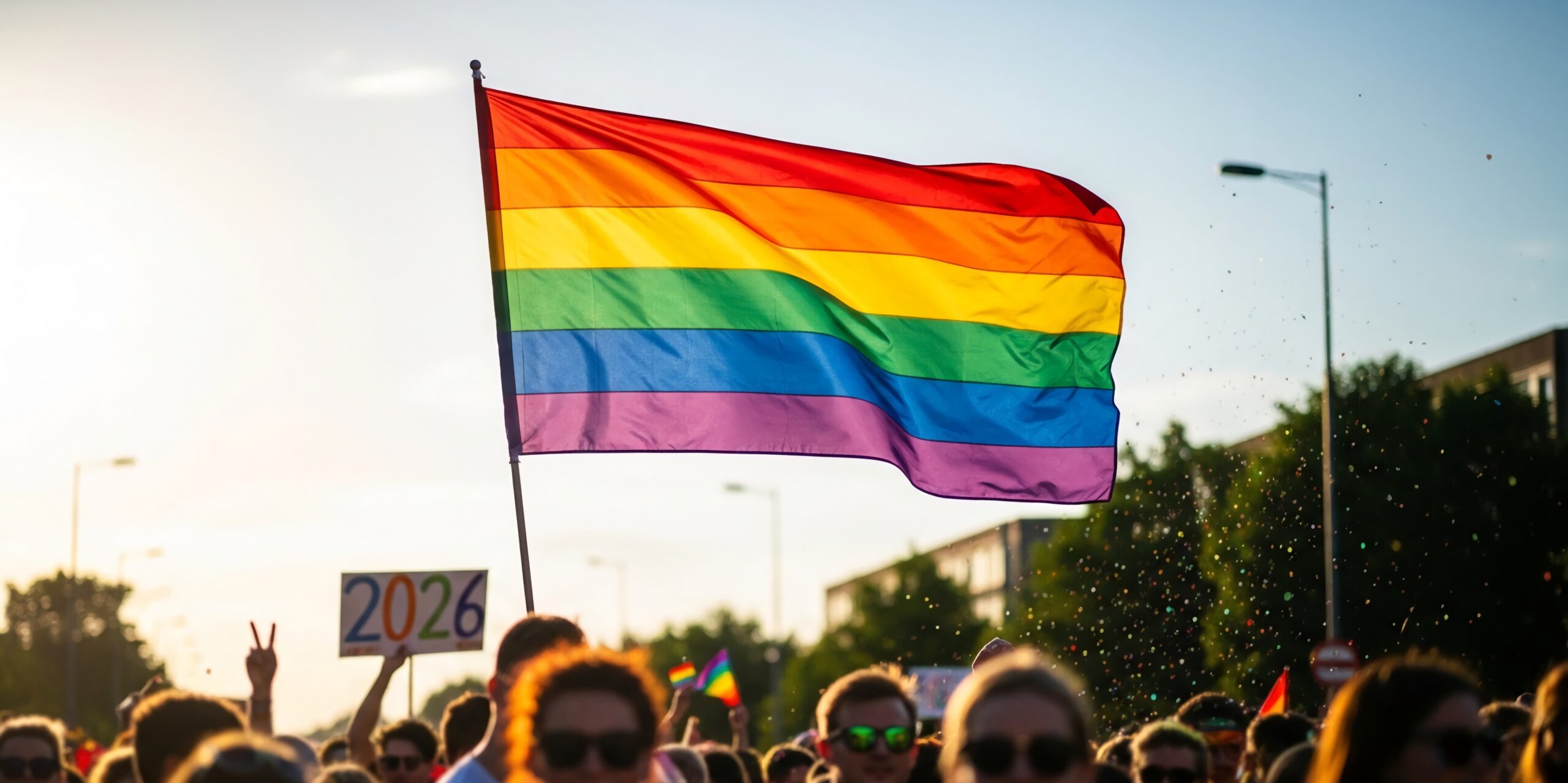 Picture of someone holding a pride flag