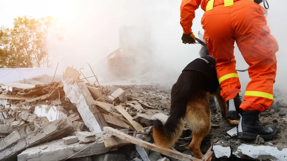 Emergency personnel conduct search and rescue effort following 2021 building collapse in Florida