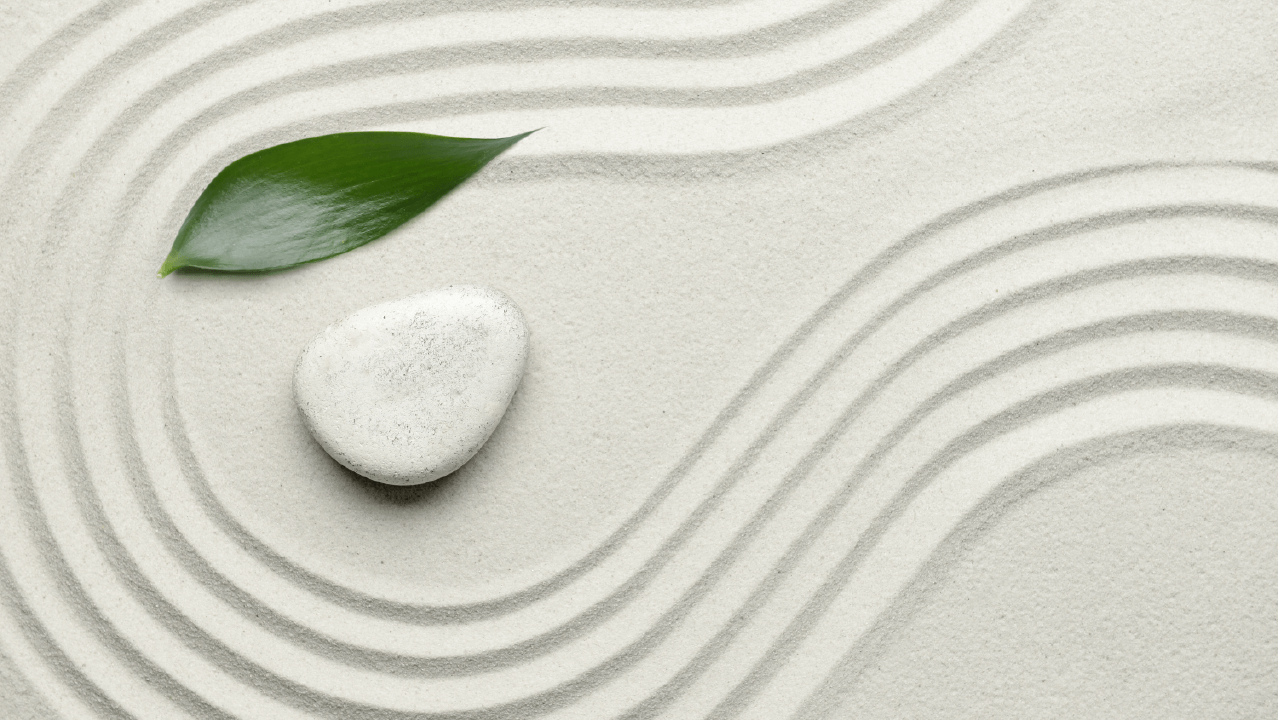 picture of roc and a leaf in sand