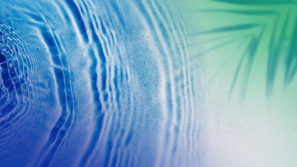 Creating a Culture of Care: Dataminr’s Commitment to Employee Wellness