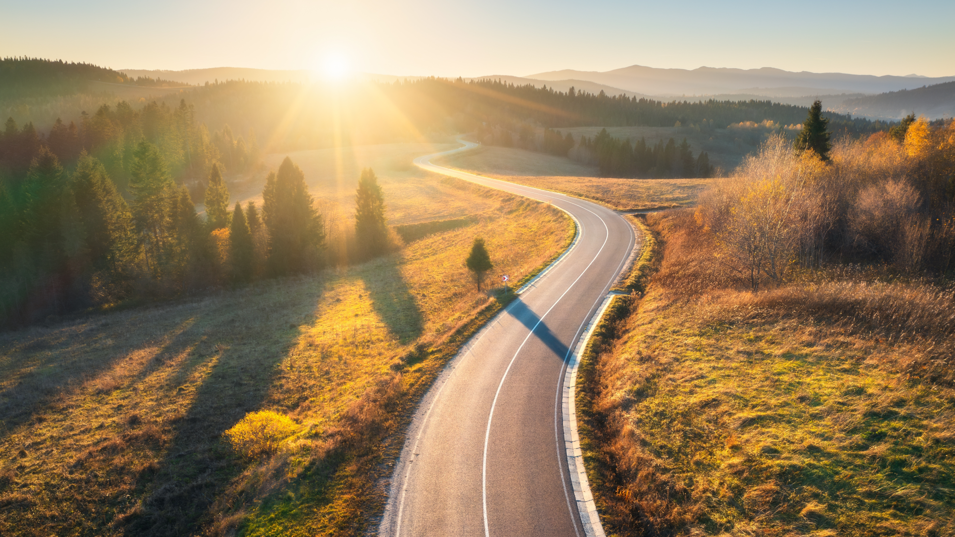 My 12-Year Journey at Dataminr: How a Startup Became My Career Launchpad