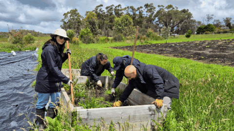 When Giving Gives Back: Why Community Service is a Cornerstone of Dataminr Culture